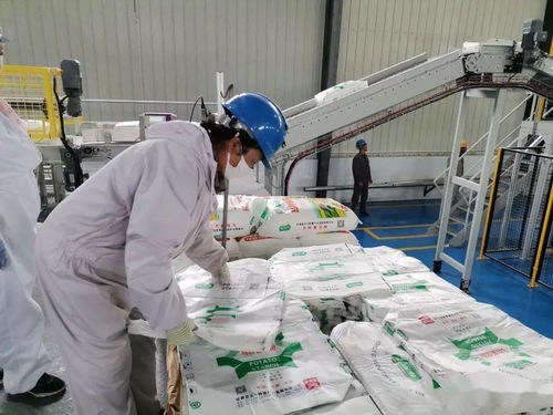 龍頭引擎驅動產業升級 甘肅生物化工技術研發加速
