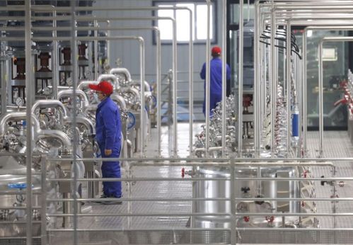煙臺以優化電力營商環境為引擎 推動生物化工技術研發新突破